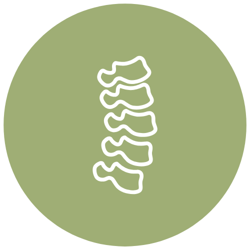 Hellgrüner Button mit hell-beiger Illustration einer Wirbelsäule von der Seite